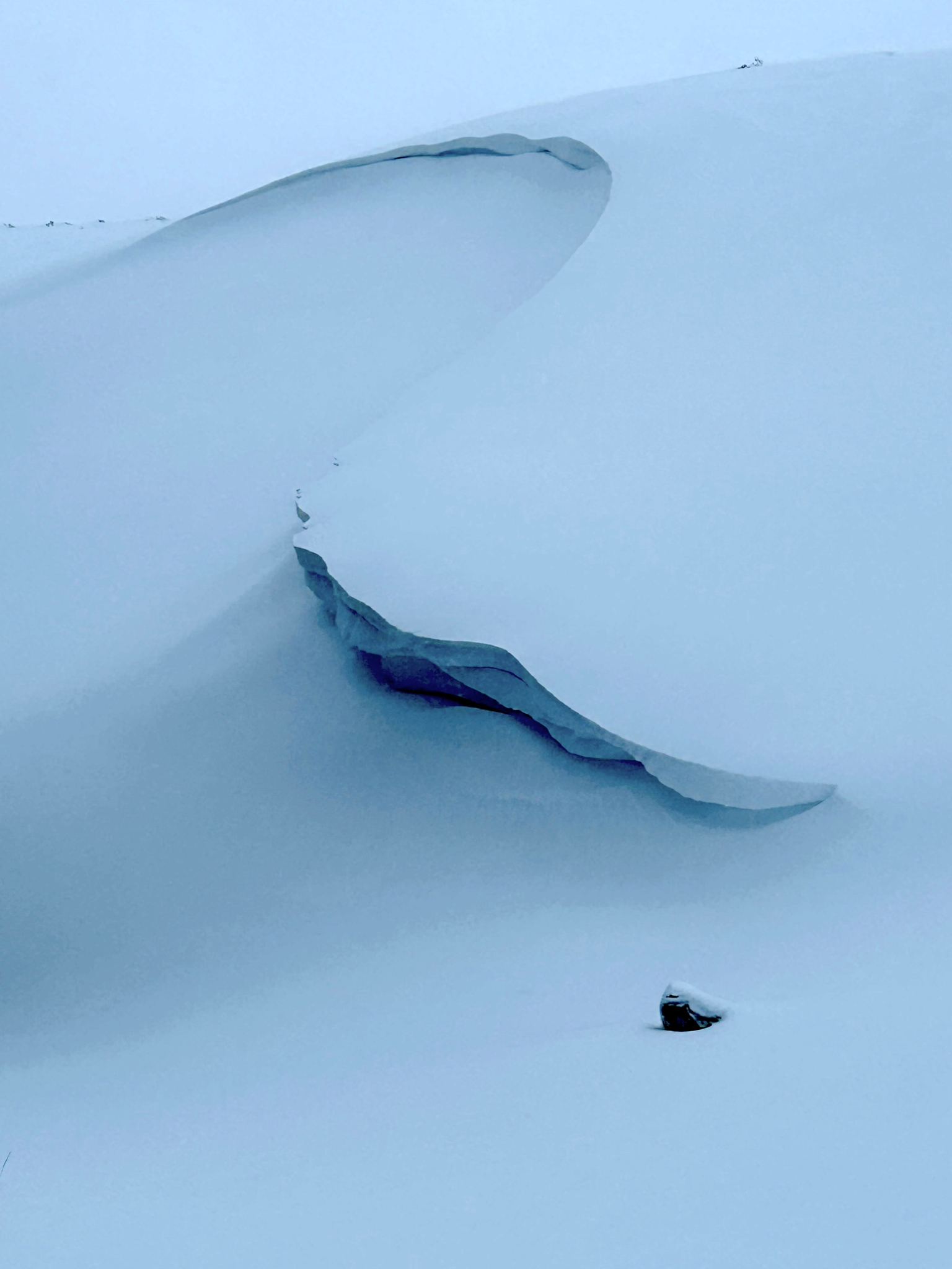 Landscapes